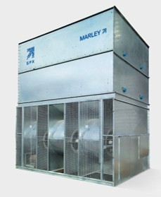 Marley MC